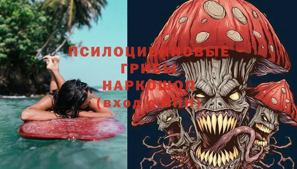 apvp Карпинск