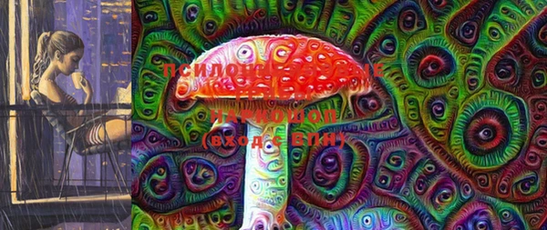 скорость Карталы