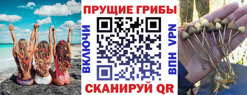 Галлюциногенные грибы ЛСД  где купить наркоту  Себеж 